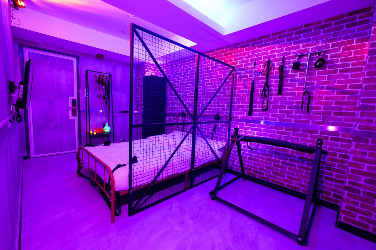 HOLY HOLIES - Image 7