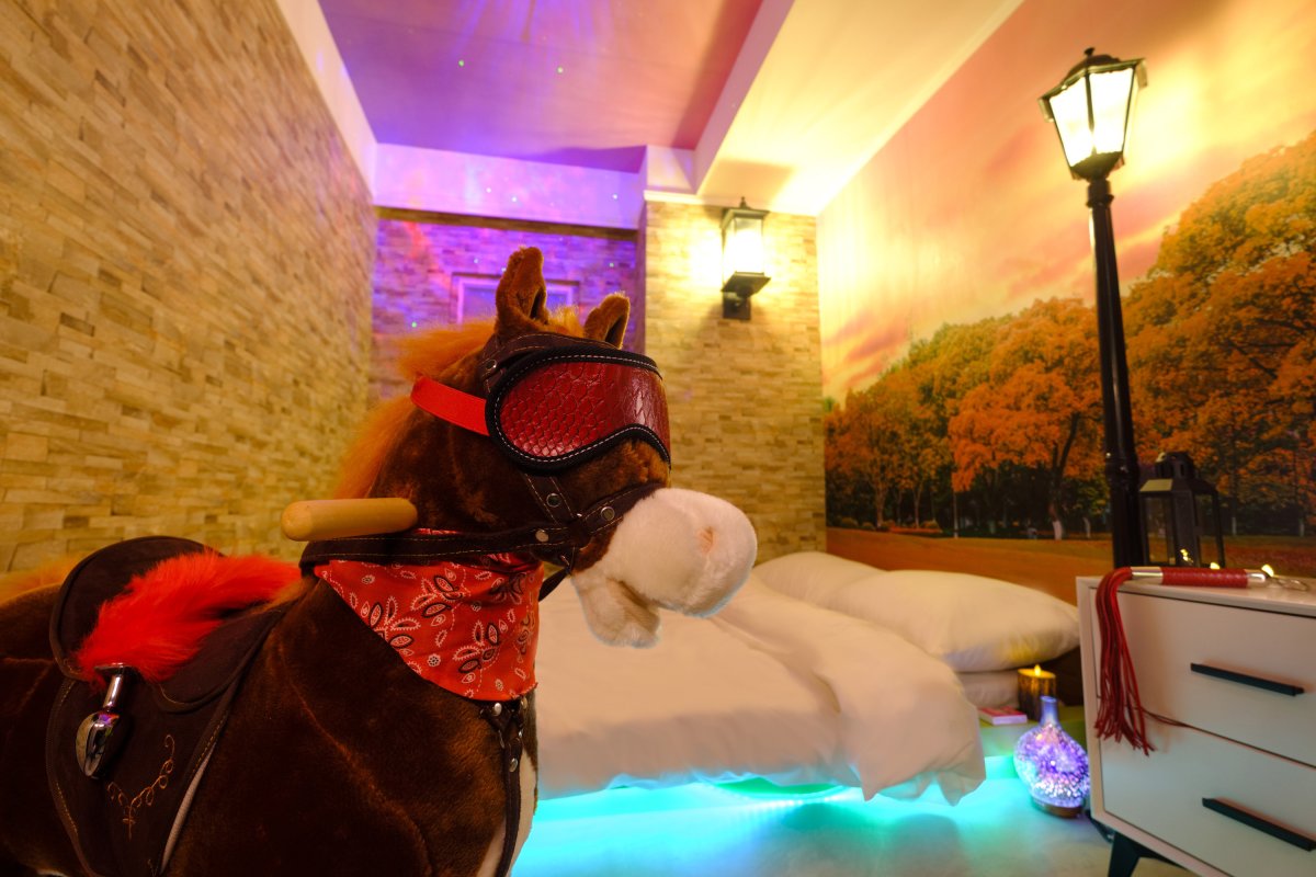 HOLY HOLIES - Image 3