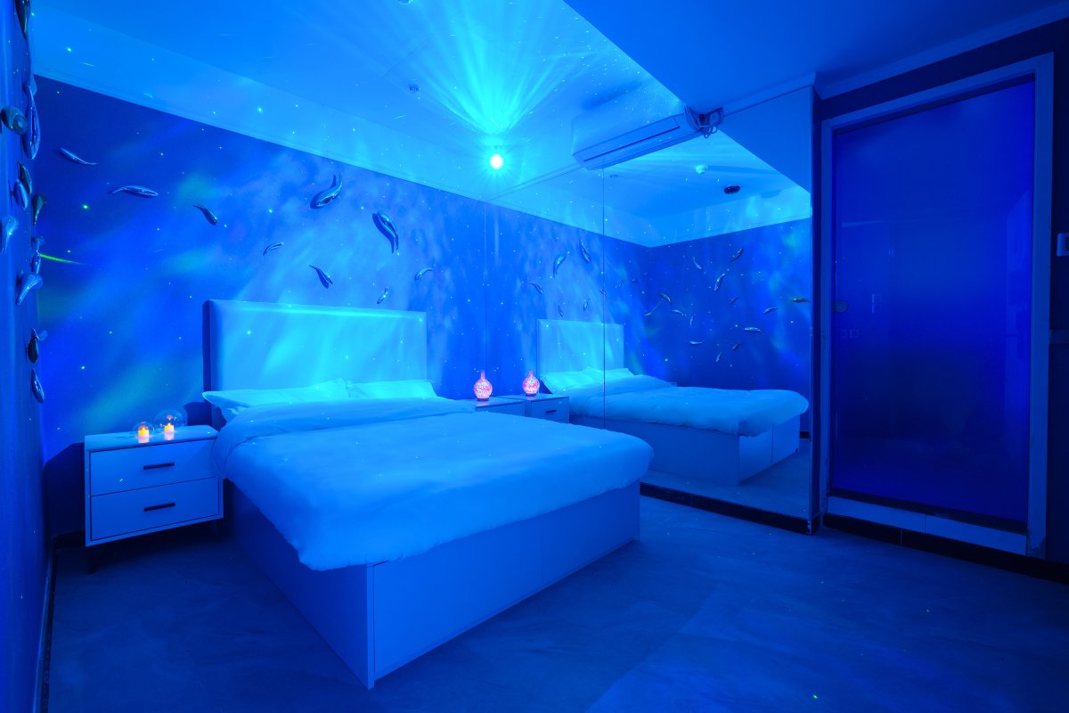 HOLY HOLIES - Image 9